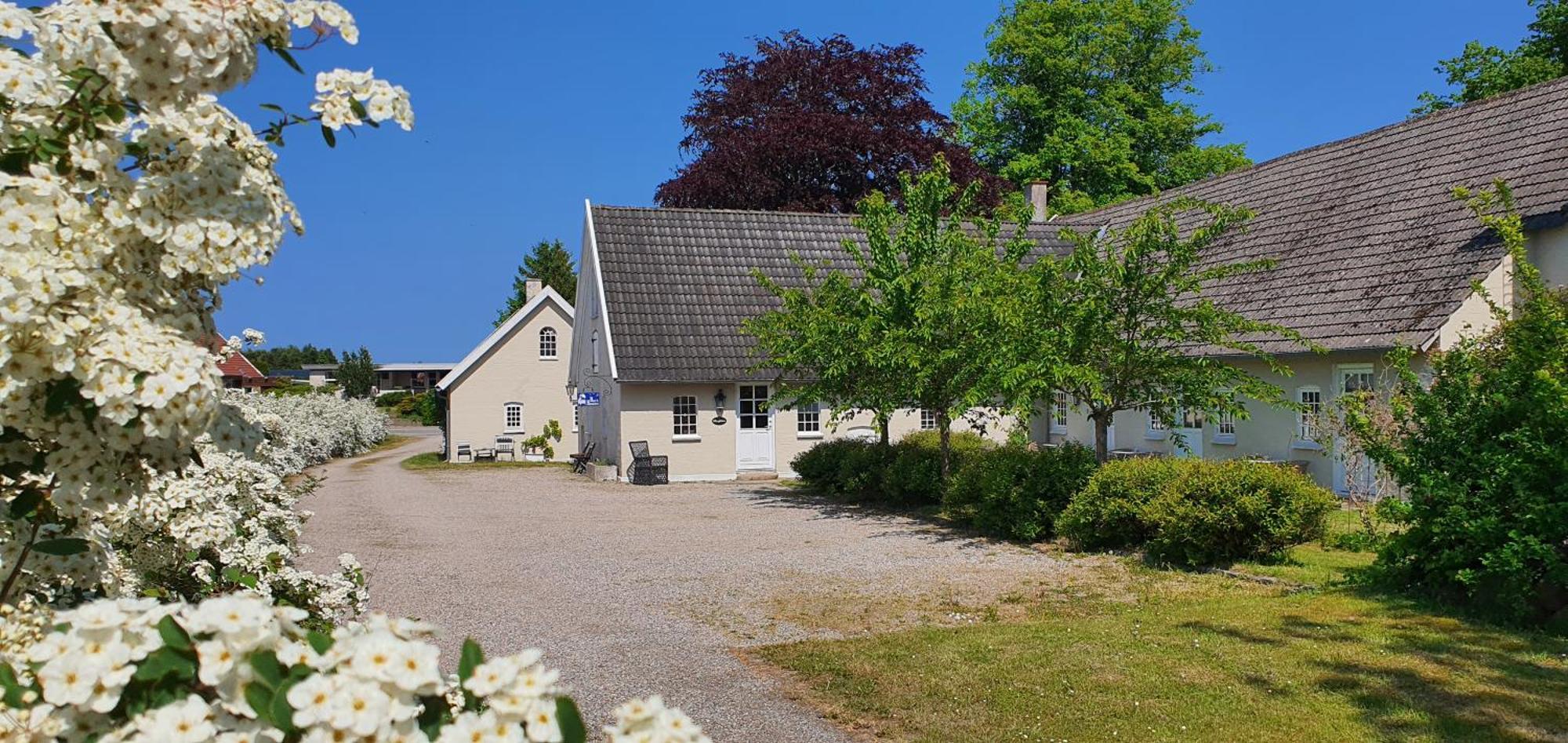 Store Ejlstrup Bed & Breakfast Οντένσε Εξωτερικό φωτογραφία
